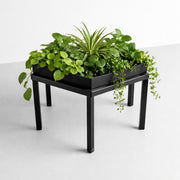 Hexagon Metal Plant Stand